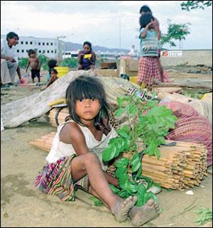 indigenas-desalojados.jpg