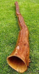 didgeridoo