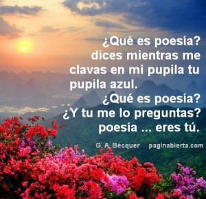 Resultado de imagen de imagen de poesia del alma