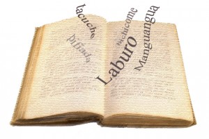 José Antonio Pascual y los errores de la lengua