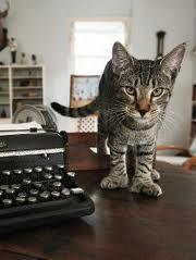 Por qué los escritores prefieren a los gatos