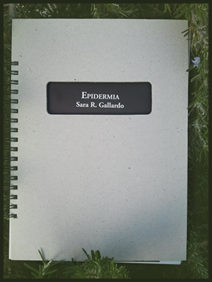 «Epidermia» de Sara Gallardo —Editorial El Gaviero—