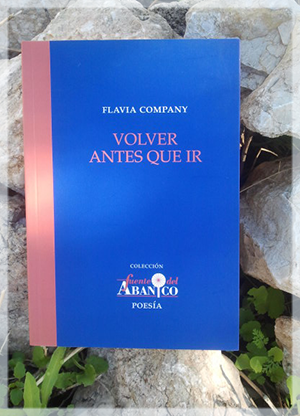 «Volver antes que ir», de Flavia Company