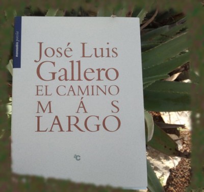 «El camino más largo», de José Luis Gallero —Colección Monosabio—