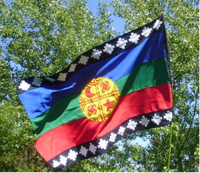 «Malón, la rebelión del movimiento mapuche», de Fernando Pairican Padilla —Ediciones Pehuén—