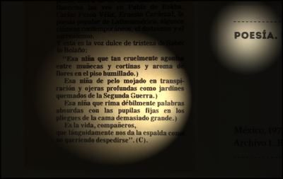 Lo que Roberto Bolaño no es. Archivo Bolaño en Madrid