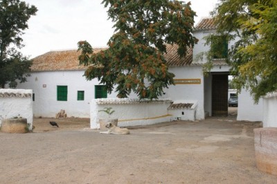 "Las cosas del campo", de José Antonio Muñoz Rojas