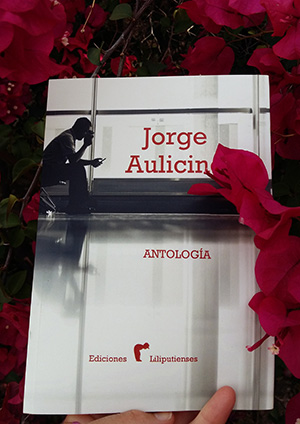 «Antología», de Jorge Aulicino —Ediciones Liliputienses—