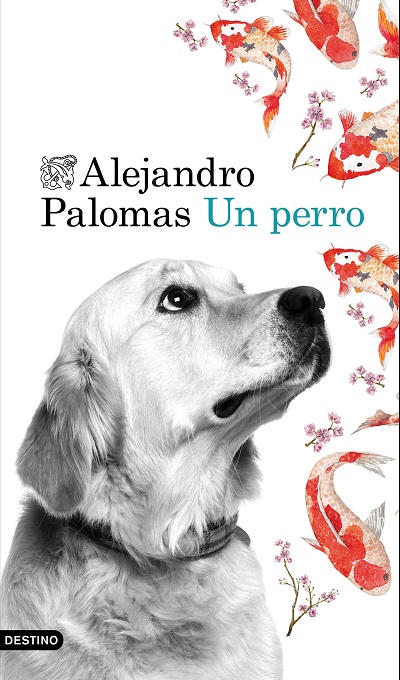 palomas-3