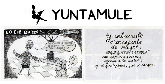 "Yuntamule" y el Mundo del Fanzine, otras formas de crear artliteratura
