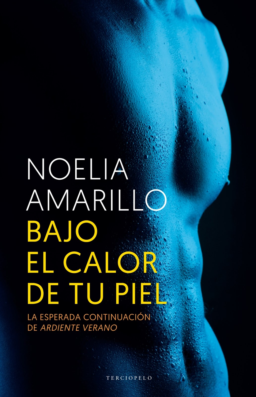 Las diez mejores novelas eróticas