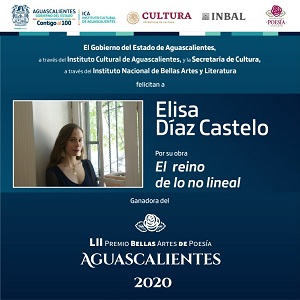 Elisa Díaz Castelo
