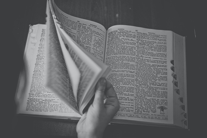 "Diccionaria" y las palabras que cambian su sentido en diferentes géneros