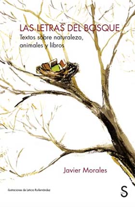 ¿Por qué leer «Las letras del bosque» de Javier Morales?