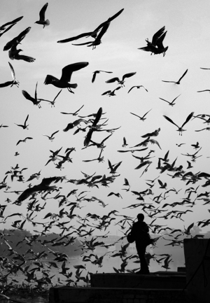 3 libros sobre la experiencia migrante