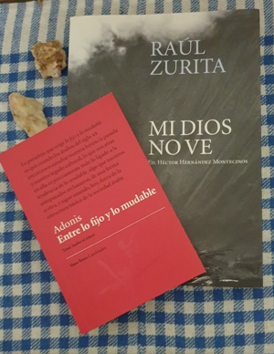 Raúl Zurita y Adonis: 2 libros imprescindibles de Vaso Roto