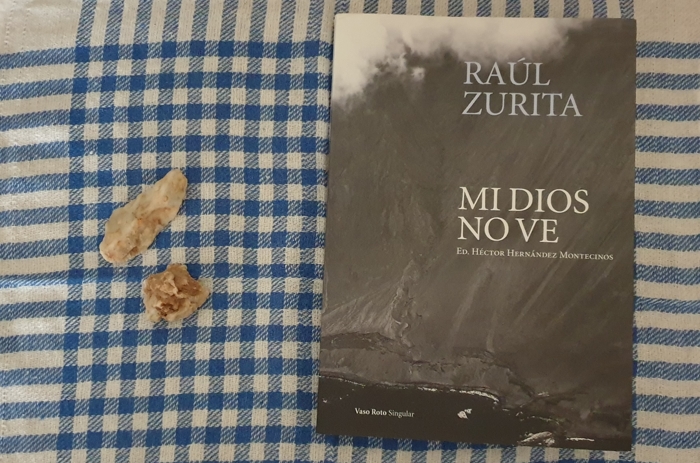 Raúl Zurita y Adonis: 2 libros imprescindibles de Vaso Roto