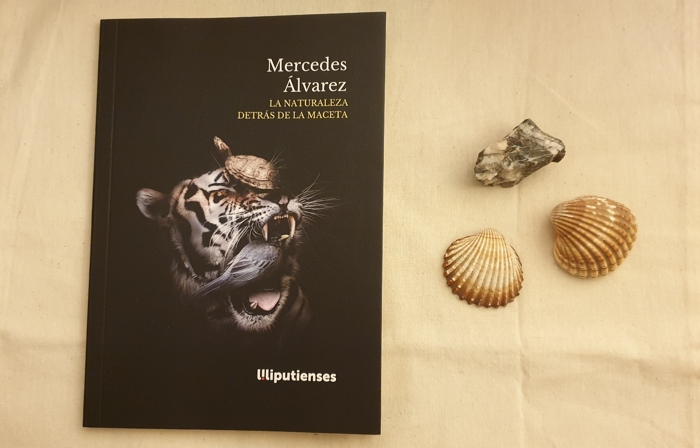 3 Poetas argentinas que llegan a España con Ediciones Liliputienses: Mercedes Álvarez