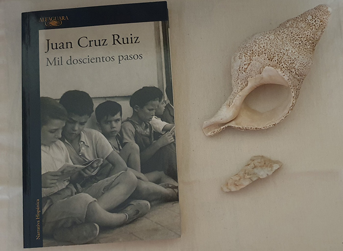 "Mil doscientos pasos", de Juan Cruz Ruiz (Alfaguara)