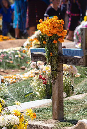 Libros para pensar en nuestros muertos