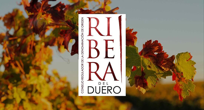 XVIII Premio Ribera del Duero