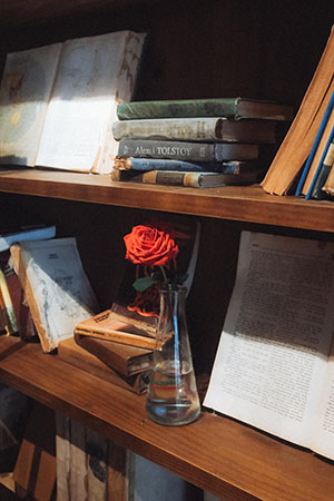 Una rosa en una biblioteca: El Día del Libro