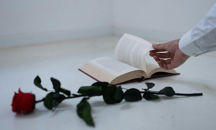 Un libro y una rosa